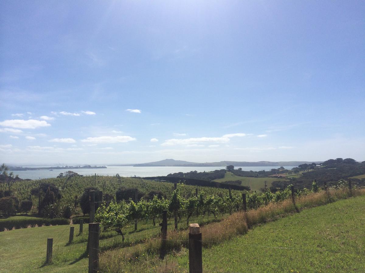 Oneroa Gardens Bed and Breakfast Buitenkant foto